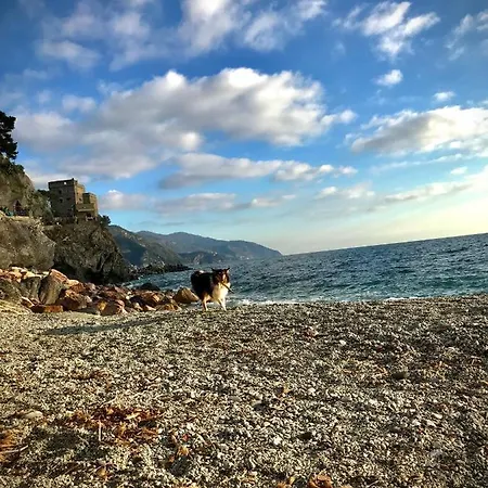 Appartement Cà Lea House
