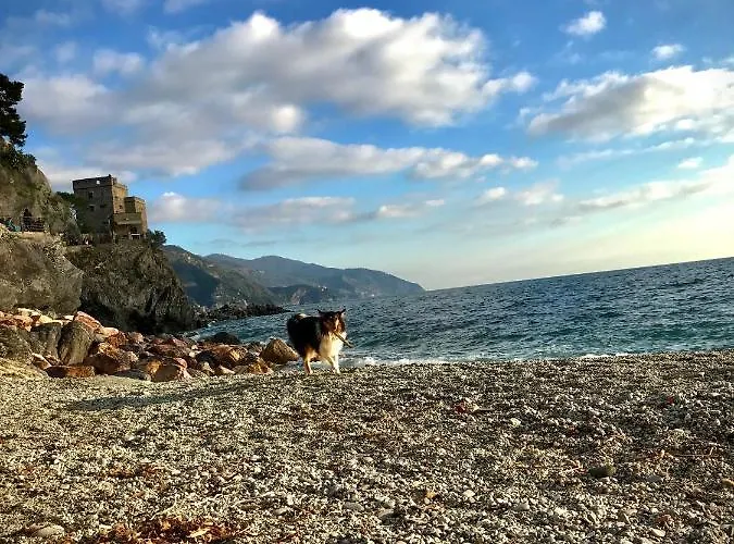 Apartman Ca Lea House